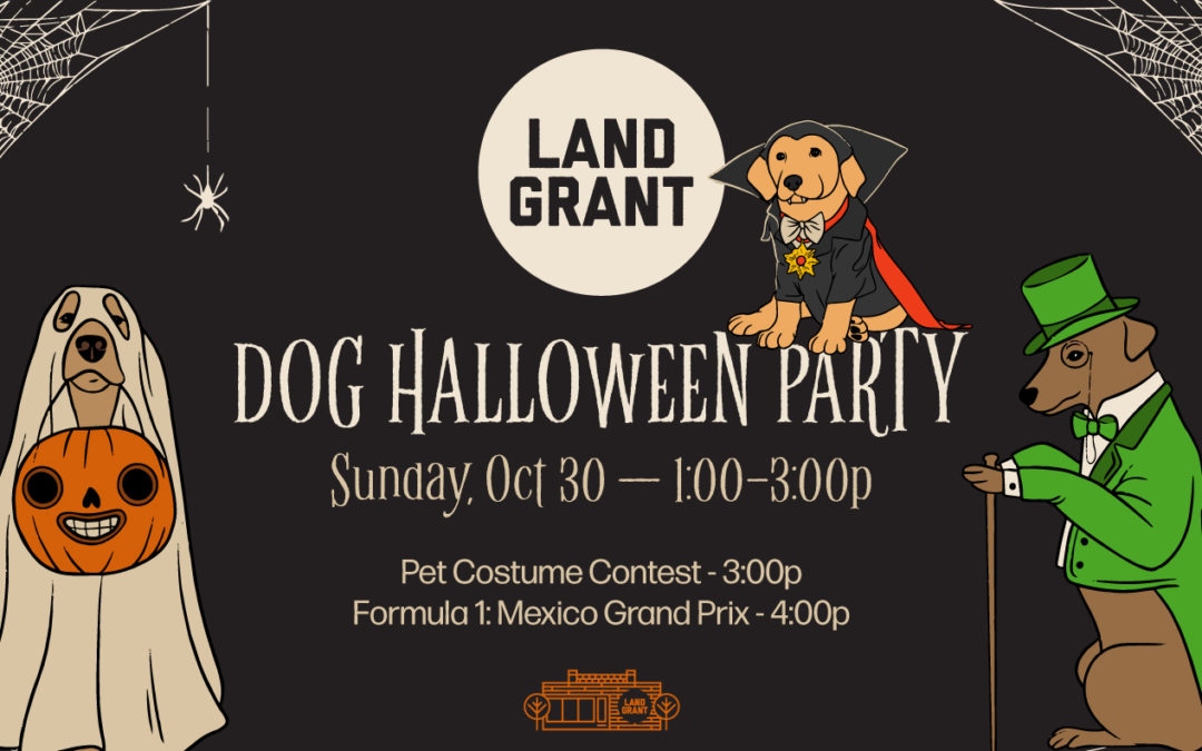 Dog Halloween Costume Party